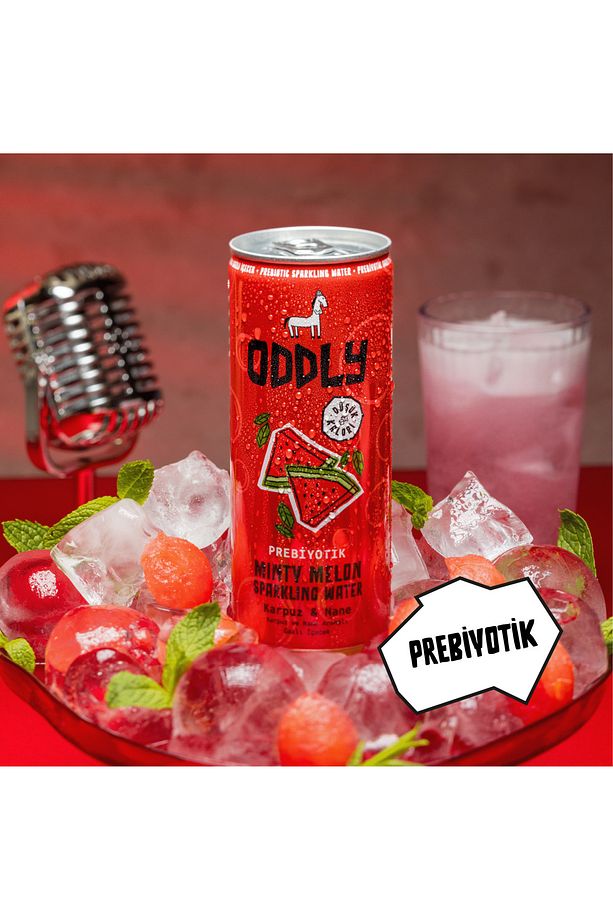 MINTY MELON KARPUZ NANE KUTU 250 ML X 8 ADET - 6