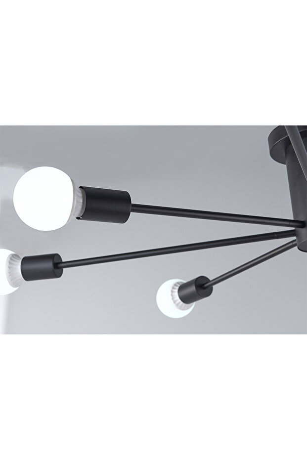 Modern Home Ceiling Lamp Black - 5