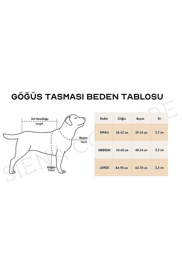 LEALTA GEZI SETI KOPEK GOGUS TASMASI BOYUN TASMASI GEZDIRME IPI - 7