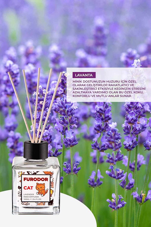 Kediler için Özel Lavanta Çubuklu Oda Kokusu Cat Lavender Reed Diffuser 100ml - 4