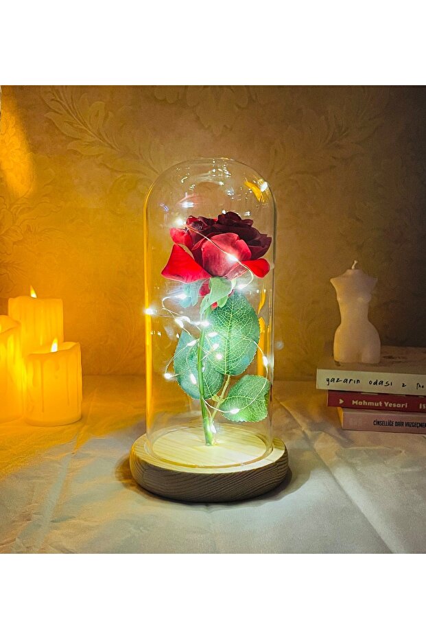 Işıklı Cam Fanus Solmayan Gül - 1
