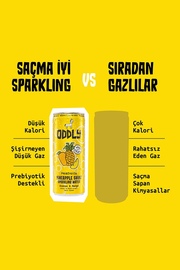 PINEAPPLE SHINE ANANAS MANGO KUTU 250 ML X 8 ADET - 5