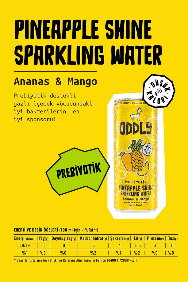 PINEAPPLE SHINE ANANAS MANGO KUTU 250 ML X 8 ADET - 4