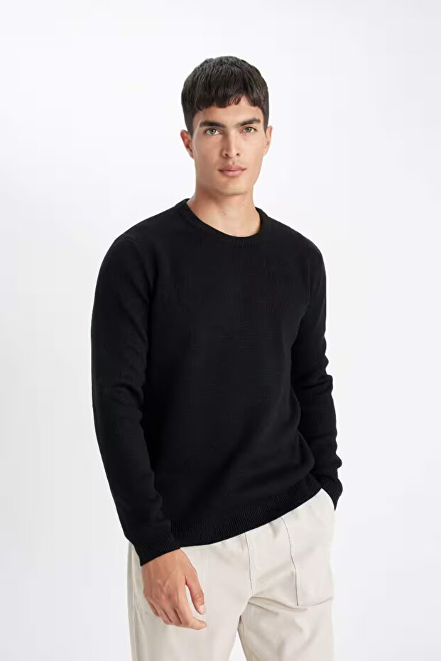 Regular Fit Round Neck Knit Sweater - 4