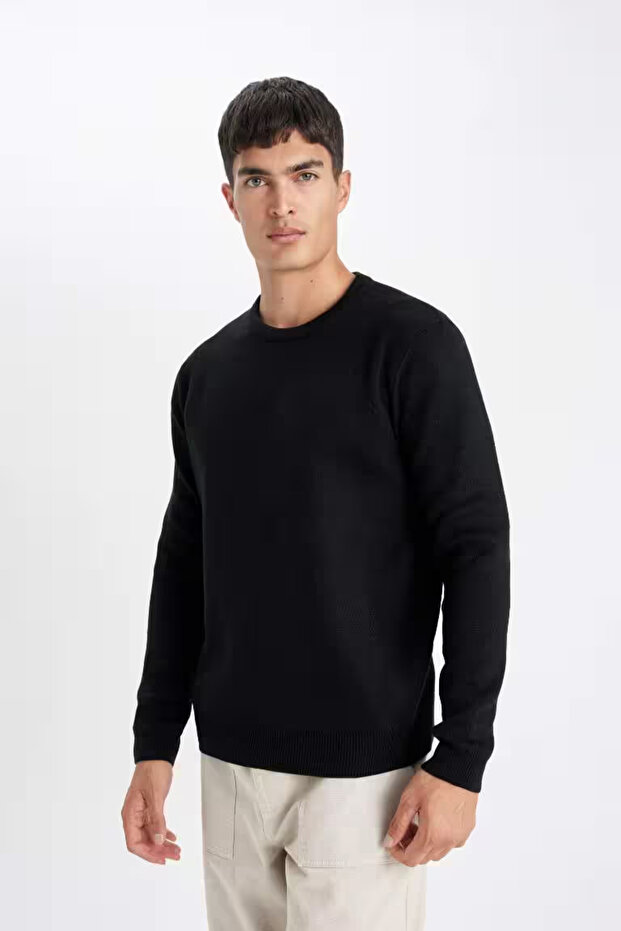 Regular Fit Round Neck Knit Sweater - 3