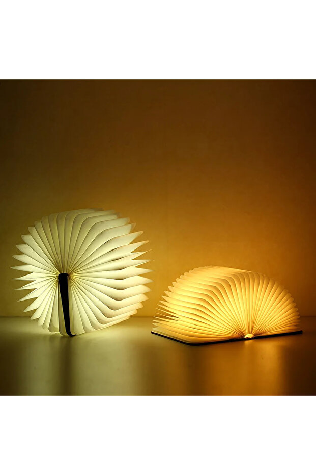 مصباح كتاب صغير من خشب القيقب الأبيض - 2