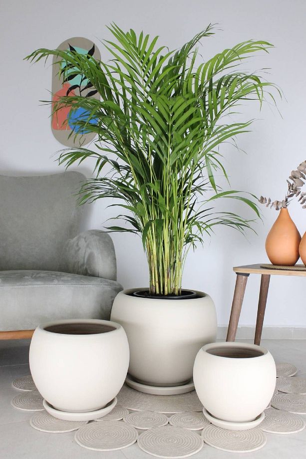 Küre Model Çömlek Saksı Krem H:22cm-ÇAP:26cm - 3