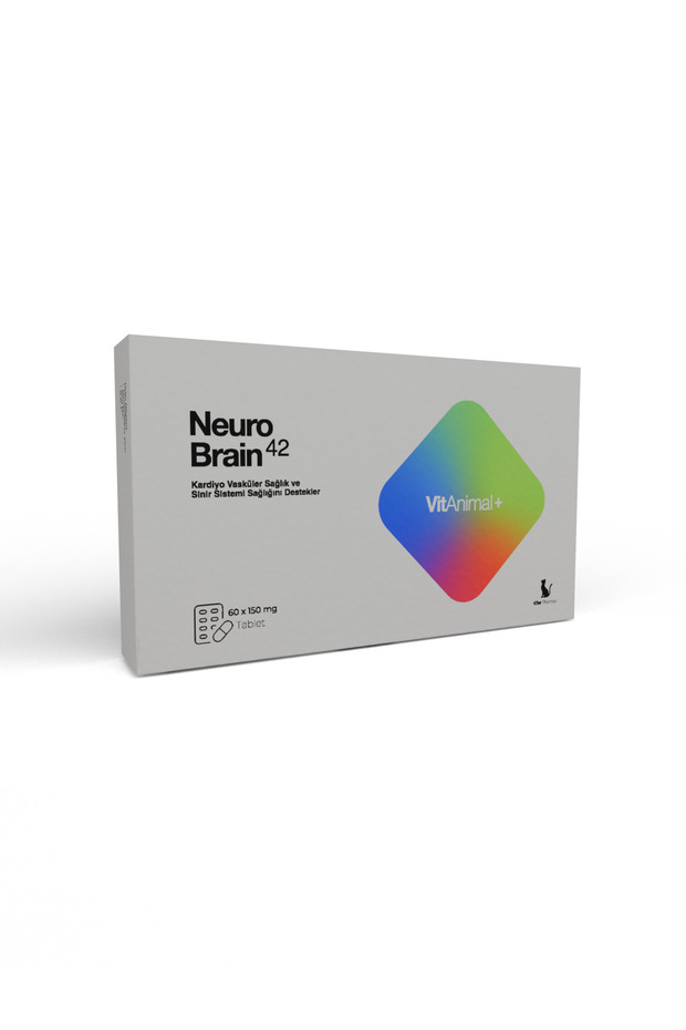 Neuro Brain 42