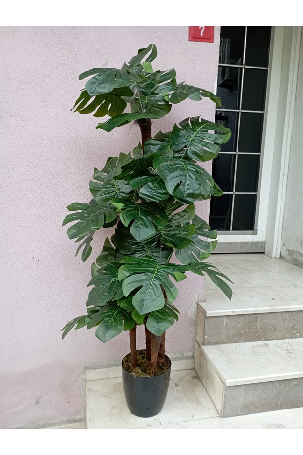 Monstera Deve tabanı Palmiye Ağacı Dolgun dev yapraklı yapay ağaç 170 cm 5 gövde 30 yaprak - 7
