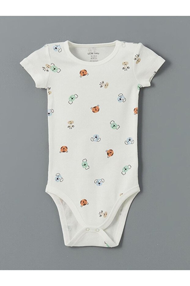 KK.BDY,NAROTE2 (S5) - 3