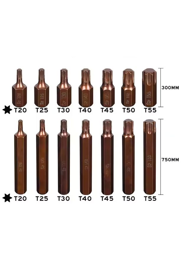 40 Parça Bits Uç Seti Torx Allen ve Spline (s2 Çelik Malzeme) - 3