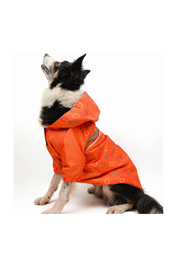 معطف واق من المطر للكلاب منقوش باللون البرتقالي - 2