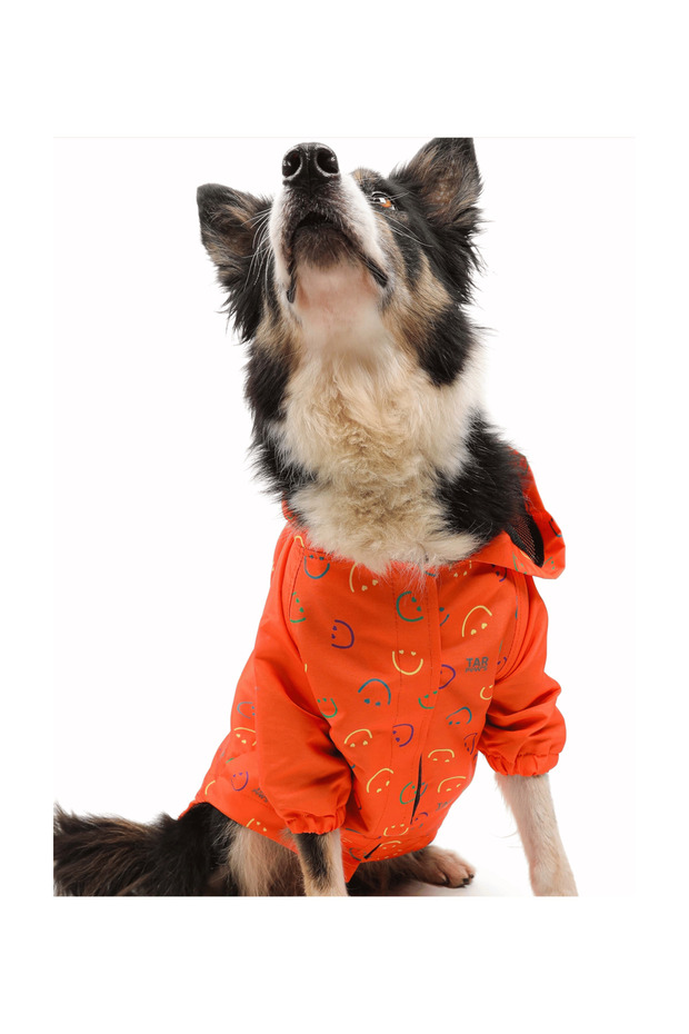 معطف واق من المطر للكلاب منقوش باللون البرتقالي - 3