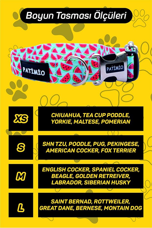 طوق كلب الربيع - 7