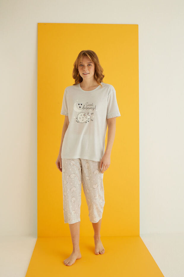 مجموعة فيسكوز كابري - 2