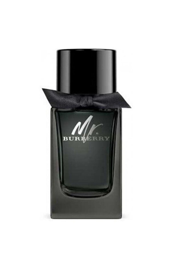 Mr Edp 100 ml