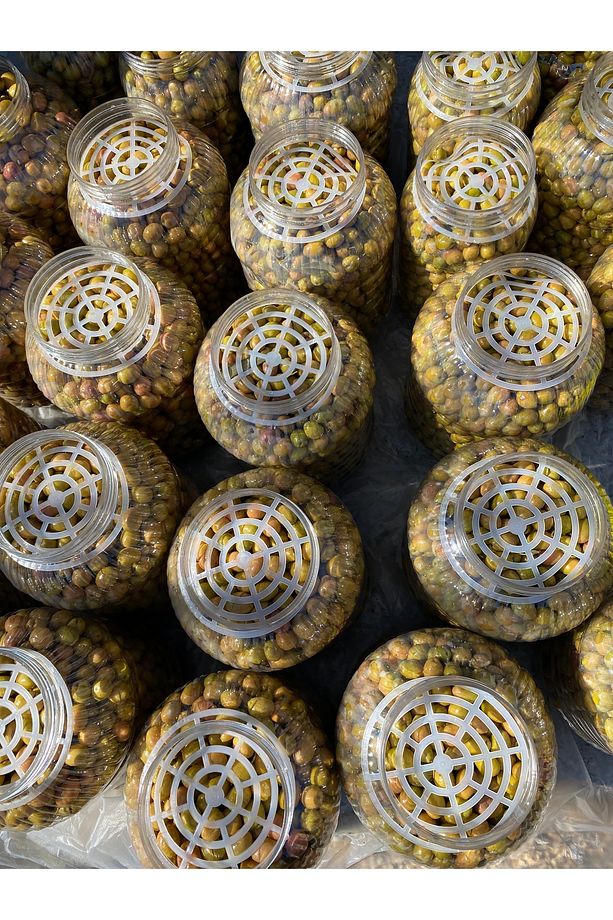 Yeşil Kırma Zeytin 4 Adet 5 Litrelik Pet Şişe ( Net : 14 Kg ) - 5