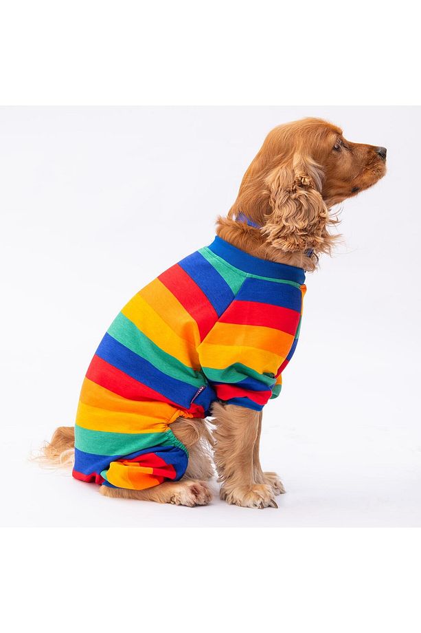 Ruby Gökkuşağı Orta ve Büyük Irk Köpek Pijaması - Köpek Tulumu - Köpek Kıyafeti (15 KG-45 KG) - 5