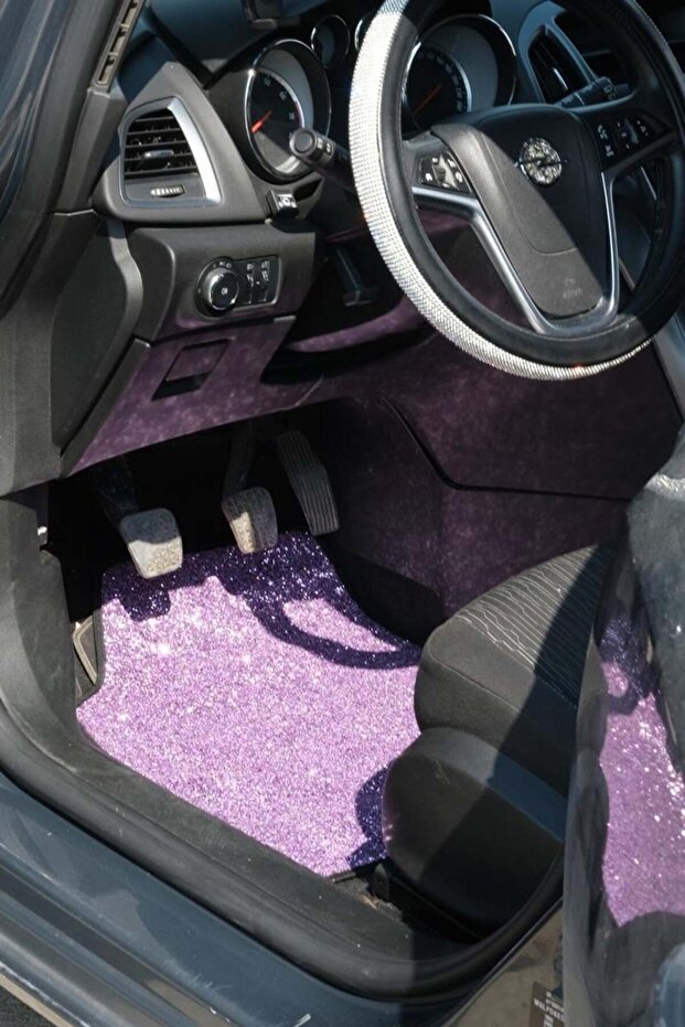 Paspas Takımı Pullu Mor Pullu Deri - 2