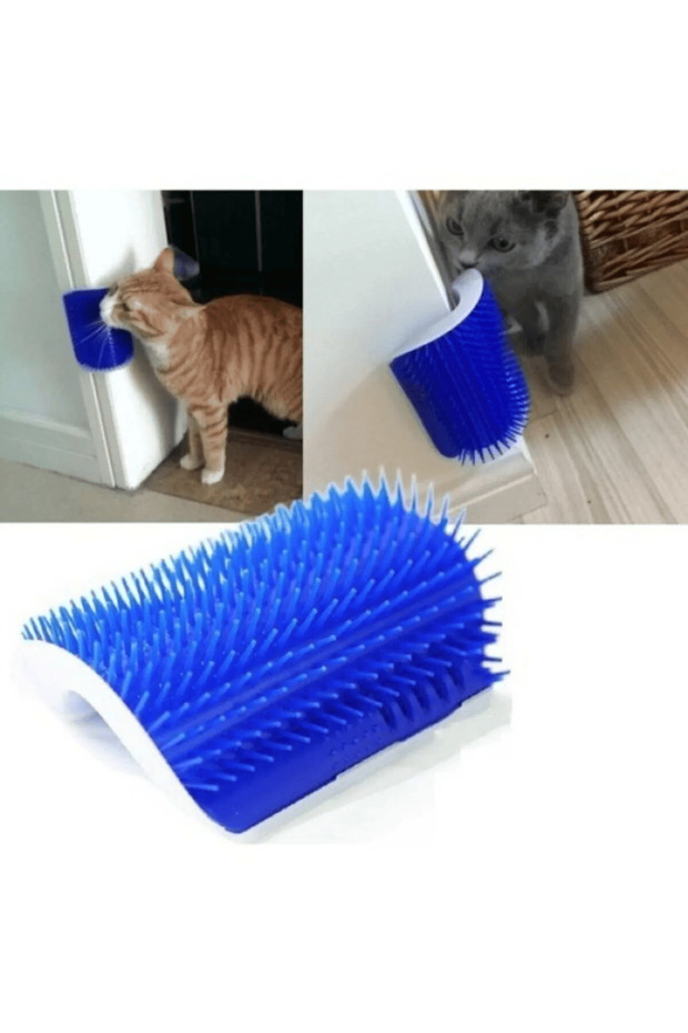 جهاز قابل للتثبيت للحكة والتمشيط للقطط