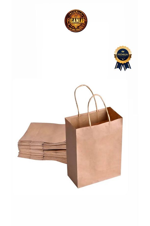 1.kalite kraft Kâğıt Poşet (20x10x22 Cm) Burgu Saplı  (10 Adet) Kâğıt Çanta hediye poşeti - 4