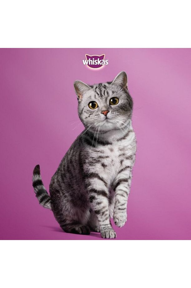Sığırlı Ve Tavuklu Yetişkin Kedi Yaş Maması 4x85 gr (13 PAKET,52 ADET TEKLİ) - 2