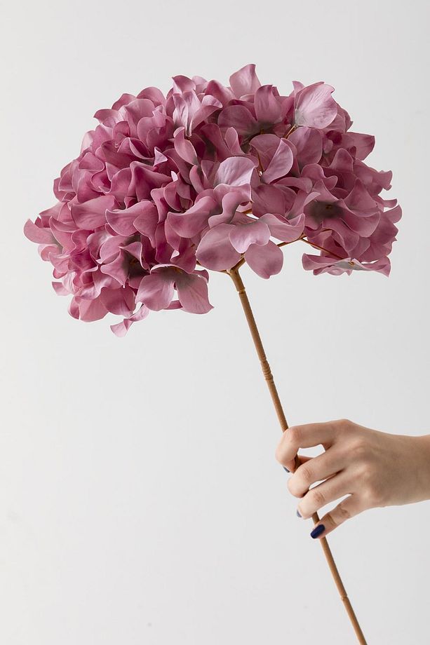 Yapay Vazo Çiçeği Ortanca 75 Cm 5 Dal Gül Kurusu - 4