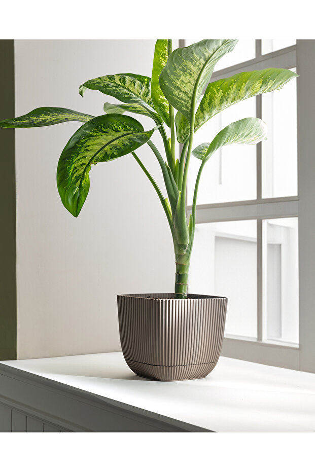 Abella Saksı 4000 ml - 2