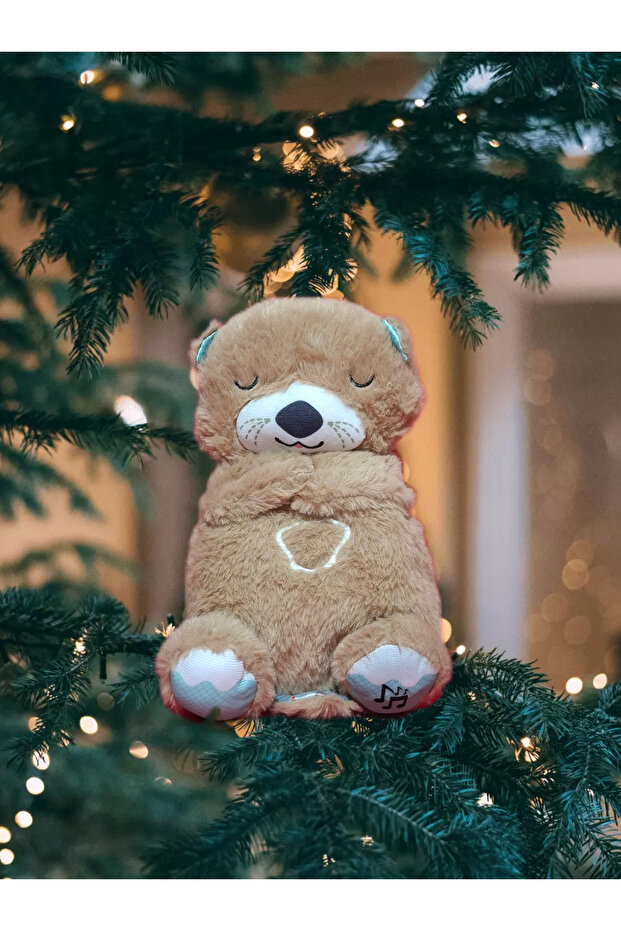 Su Samuru Uyku Arkadaşım - 2