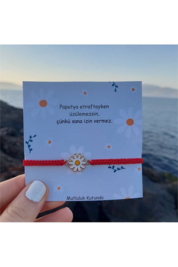 سوار ديزي موديل مكرامية - 1