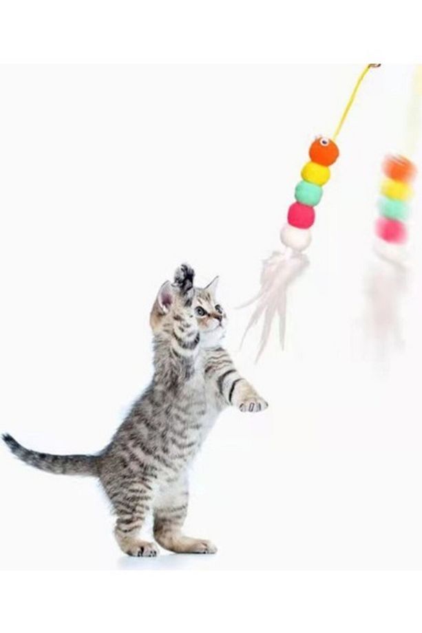 Duo Malt Paste Tüy Yumağı Kontrol Kedi Macunu 100 gr - 2 Adet - 2