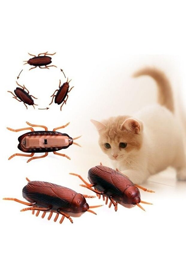 3pcs Funny Simulation of Cockroaches Pet Cat Dog Kitten Interactive Training Play Toy