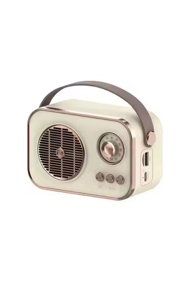 PL-4641 Bluetooth, SD, USB Girişli Bluetooth Destekli Type-C Speaker - 4