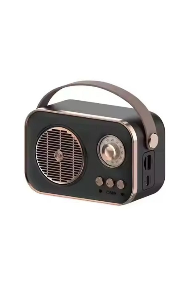 PL-4641 Bluetooth, SD, USB Girişli Bluetooth Destekli Type-C Speaker - 3