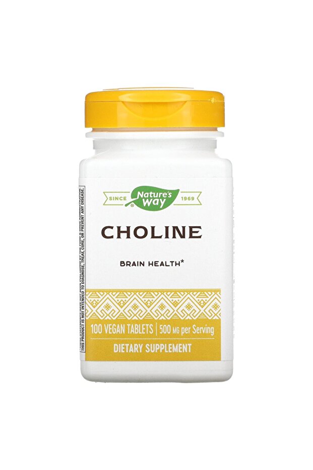 NATURES WAY 500Mg 100 Tb Choline, 100 CT