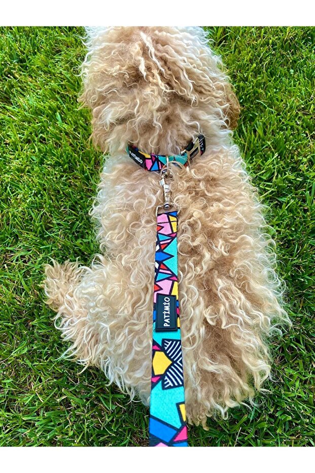 Colorful Köpek Boyun Tasması - 7