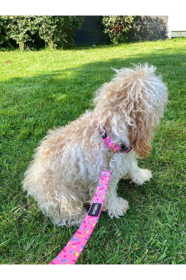 Pink Bones Köpek Boyun Ve Gezdirme Tasma Seti - 3