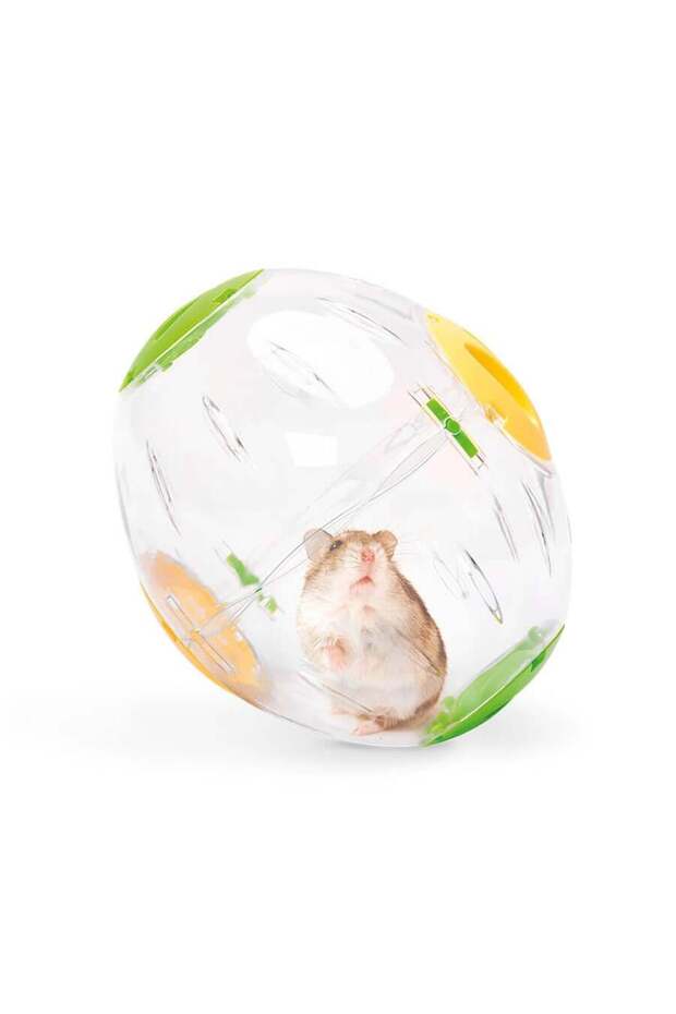 Sphere Hamster Topu 19 Cm - 3