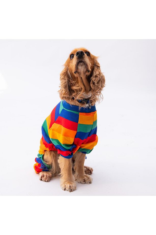 Ruby Gökkuşağı Orta ve Büyük Irk Köpek Pijaması - Köpek Tulumu - Köpek Kıyafeti (15 KG-45 KG) - 6