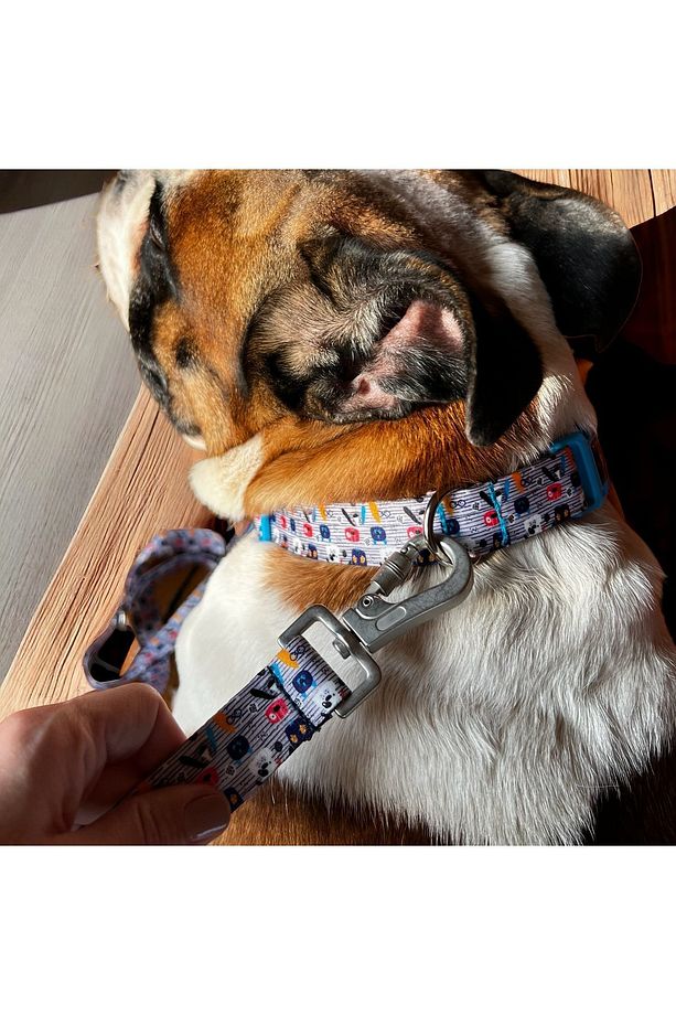 Woof, Köpek Boyun Tasması, Köpek Gezdirme Kayışı, Ikili Set - 6