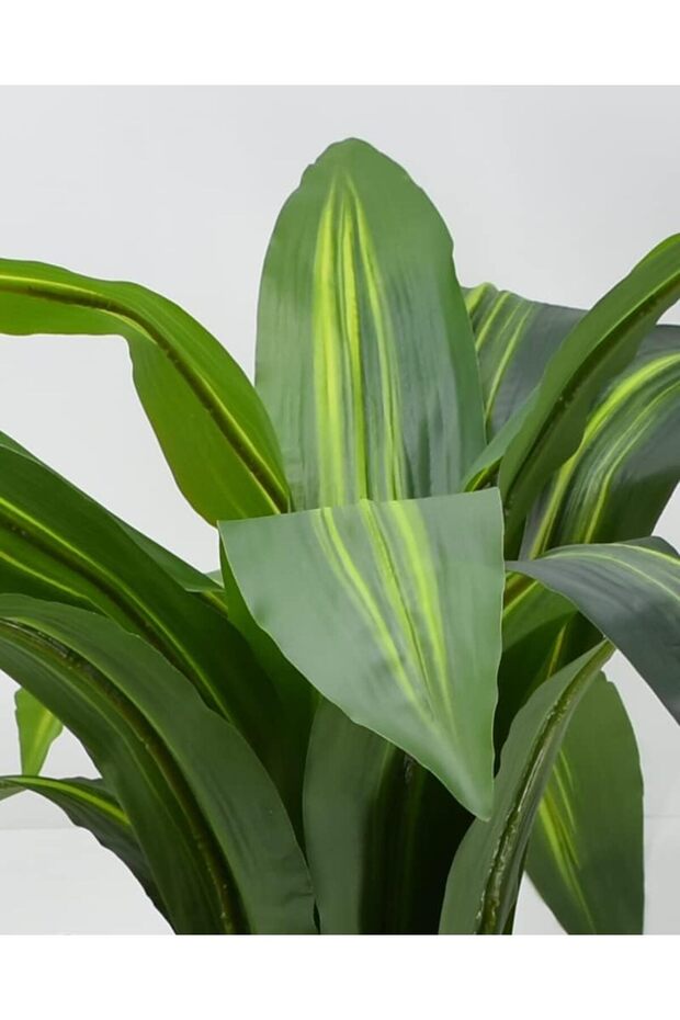 شجرة صناعية محاكاة لشجرة الذرة الناعمة بملمسها الطبيعي بارتفاع   100 سم - 6