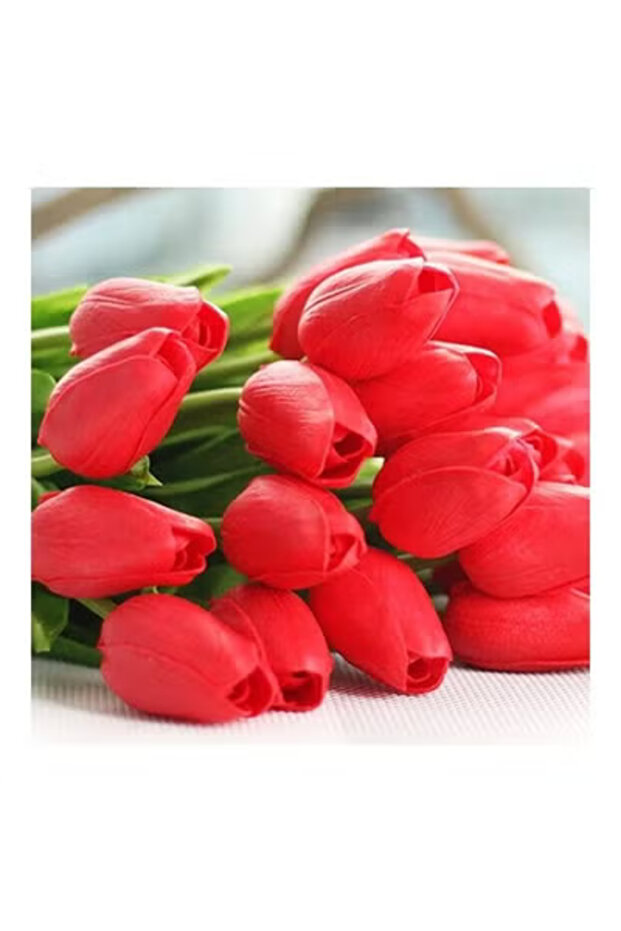 باقة ازهار توليب - 1