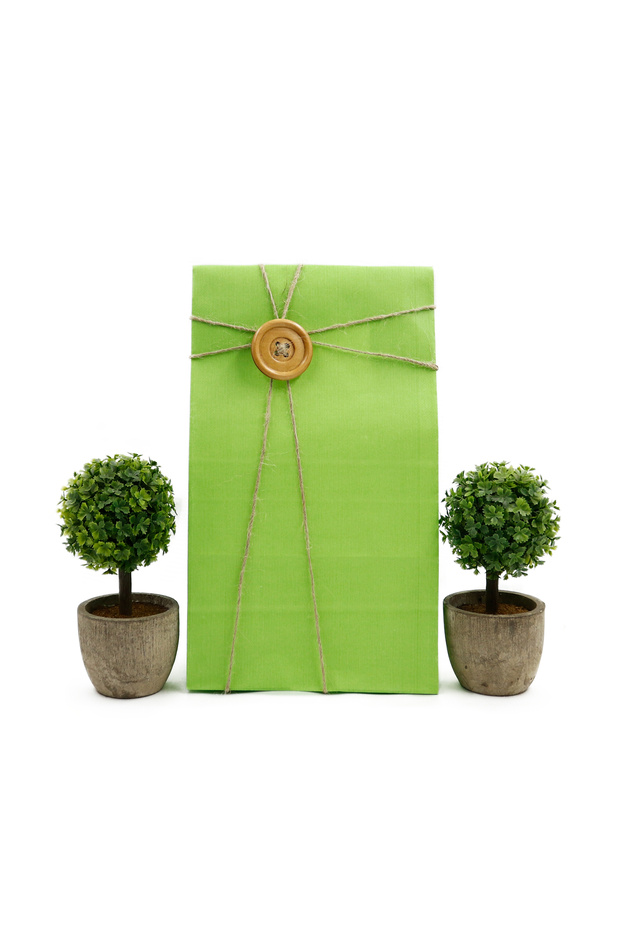 15x29x8 Cm Yeşil Renkli Kese Kağıdı 10 Adet, Hediyelik Poşet, Hediye Kutusu - 1