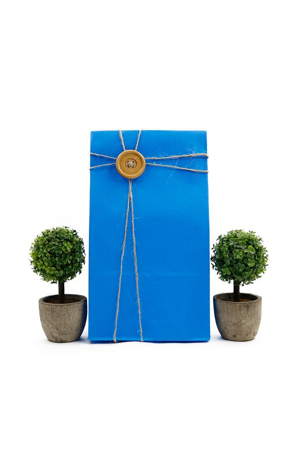 15x29x8 Cm Mavi Renkli Kese Kağıdı 10 Adet, Hediyelik Poşet, Hediye Kutusu - 1