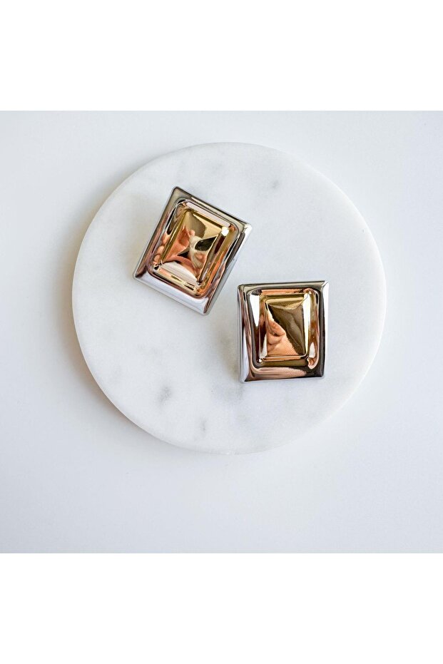 Çelik cait plaka küpe - 2