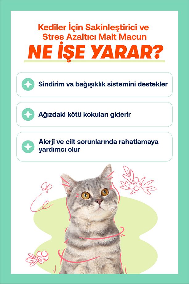 Kedi ve Köpekler İçin Sıvı Probiyotik – 100 ml - 4