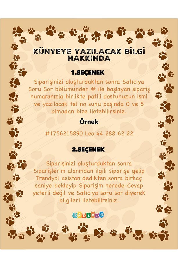 Spring Isimli Köpek Tasması, Köpek Künyesi, Köpek Isimlik, Isme Özel Tasma - 2