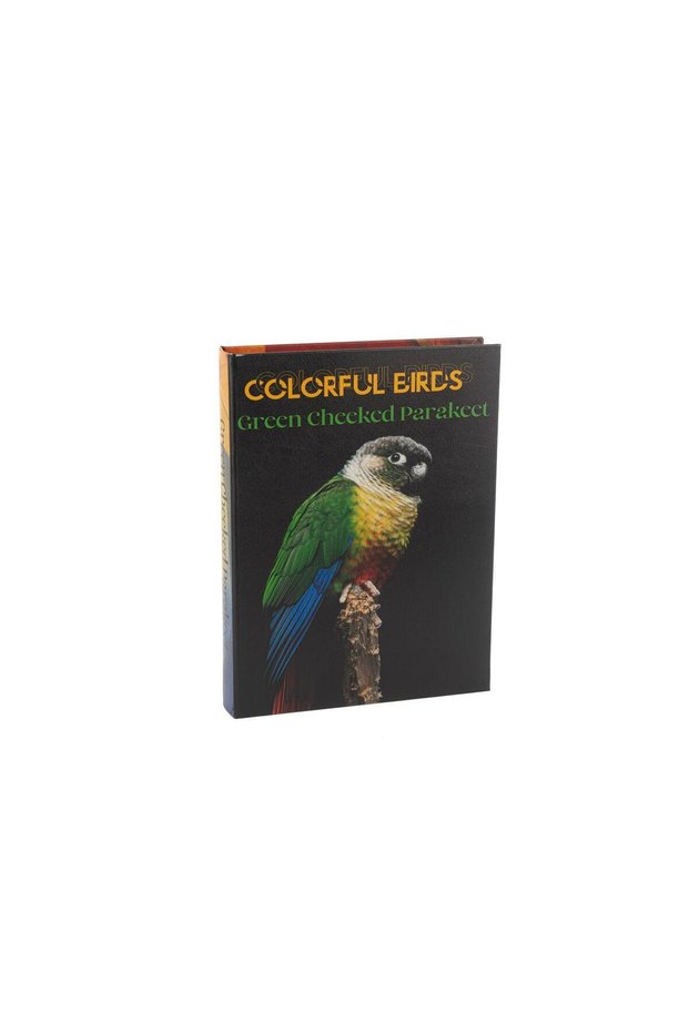 Mi̇kasa Moor Colorful Birds Book Box 28X22X4Cm