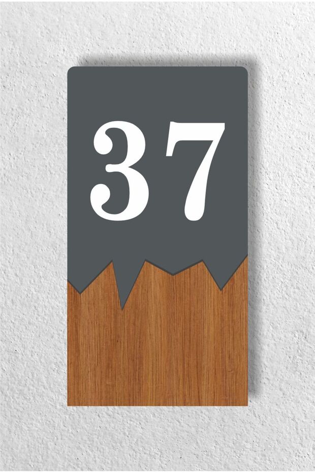 Vertical Metal Composite - Wooden Apartment - Apartment Hotel Office Door Number Anthracite - Door No37