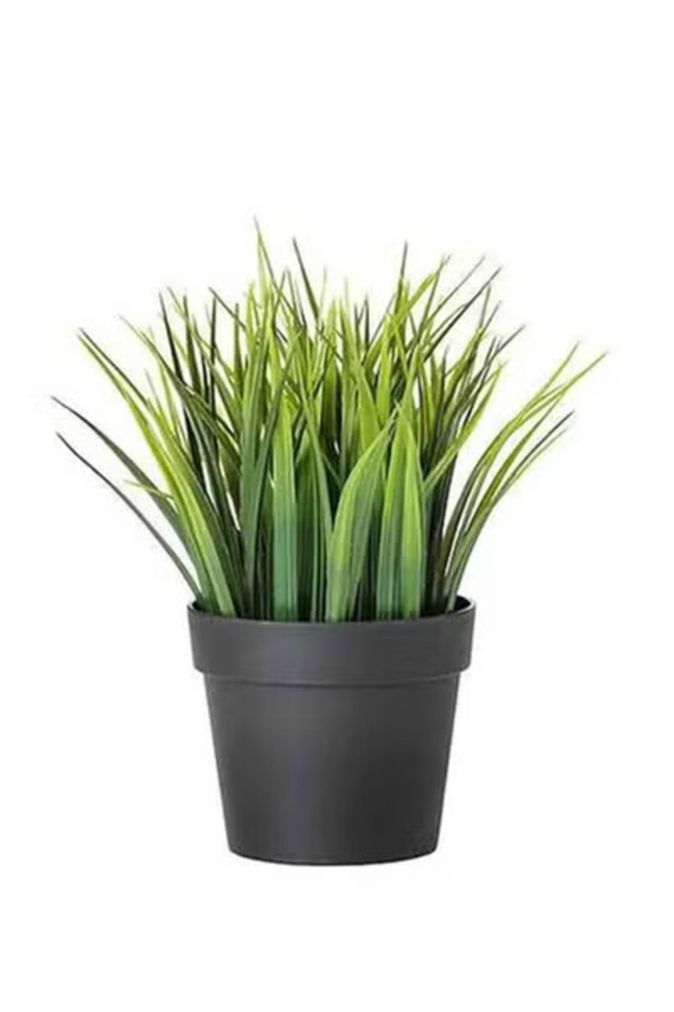 Artificial decorative plant with plastic vase